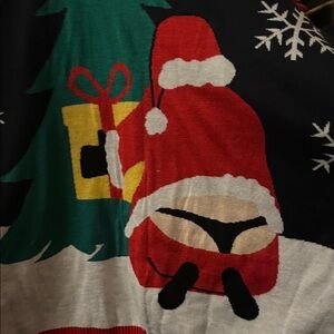 Festive Santa Christmas Sweater